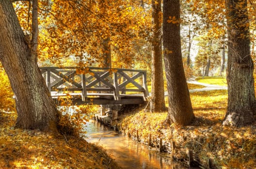 Autumn scenery. Beautiful gold fall in park.