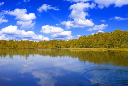 Lake nad forest. View of the lake near the forest in fall.