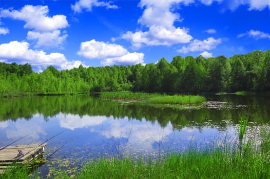 Lake nad forest. View of the lake near the forest in summer.