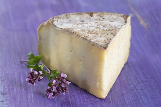 French mountain cheese - Tomme de Savoie cheese