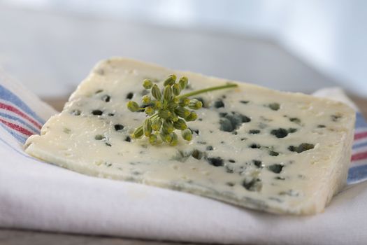 Roquefort soft blue french regional cheese