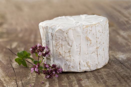traditional, regioanal cheese - bleu d'auvergne