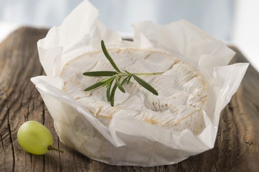 French camembert cheese from Normandy