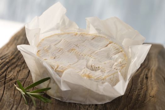 French Camembert cheese from Normandy