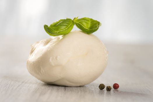 Traditional Italian cheese Mozzarella