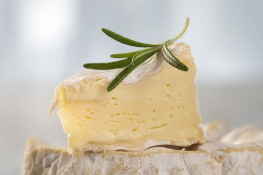 French camembert cheese from Normandy