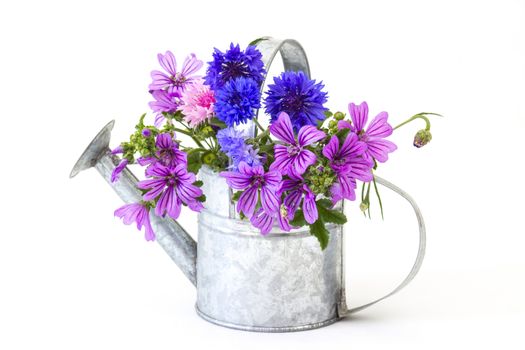 bouquet of bright wildflowers in watering can, isolated on white