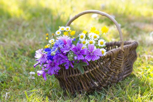 wildflowers in a basket