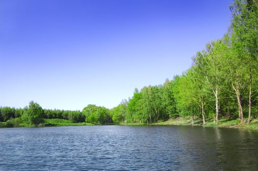 Lake nad forest. View of the lake near the forest in summer.