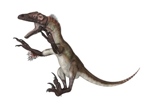 3D digital render of a dinosaur utahraptor hunting isolated on white background