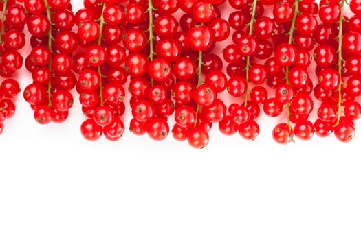 red currant on a white background