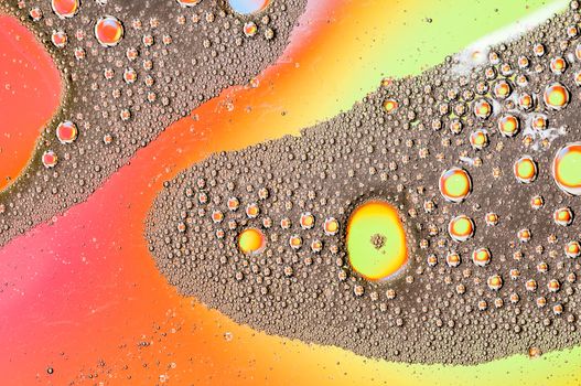 Oil drops on water surface lit from beneath.