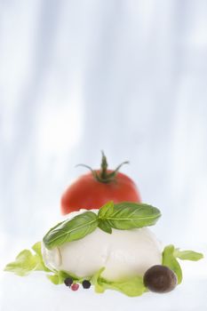 Mozarella cheese with tomatoes  nd basil