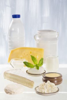 still life of dairy products (milk, sour cream, cheese, cottage cheese)
