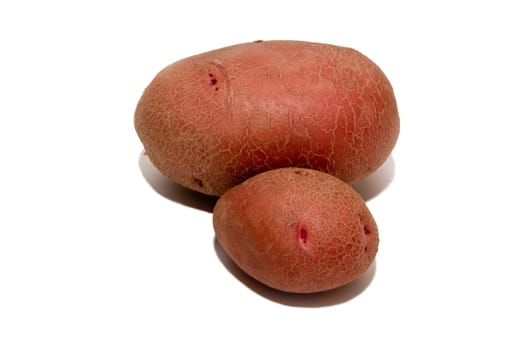 The earth is freshly picked potatoes in the kitchen ..