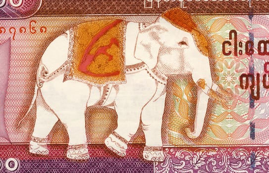 Close up detail of an elephant on a 5000 Kyats banknote from Myanmar (Burma).