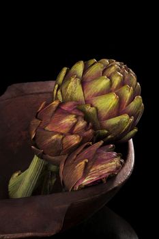 Fresh artichoke isolated on black background. Culinary healthy vegetable eating. 