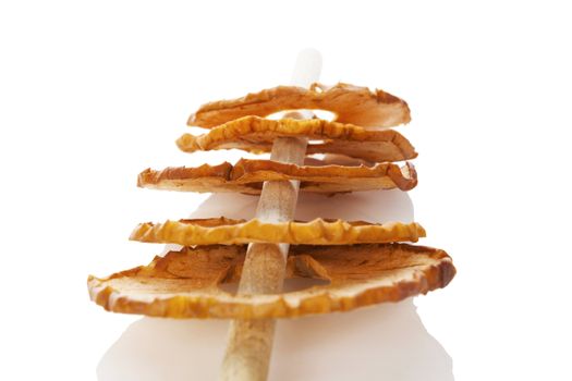 Dry apples isolated on white background. Healthy snack eating.