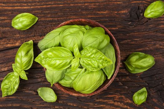 Fresh basil herbs in wooden bowl on old wooden brown background. Culinary herbs, rustic style. 