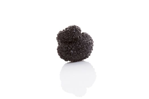 Truffles, rare mushrooms. Luxurious culinary cooking ingredienets. 