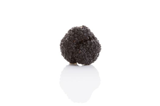 Truffles, rare mushrooms. Luxurious culinary cooking ingredienets. 