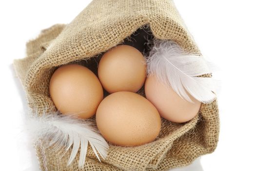 Brown eggs with feather in burlap bag isolated on white background, top view.