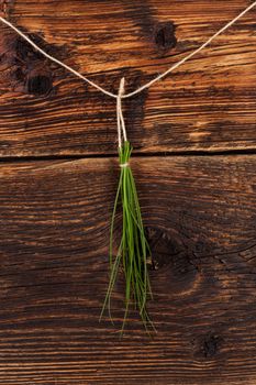 Fresh chives hanging on string against brown wooden vintage background. Culinary herbs, rustic style.