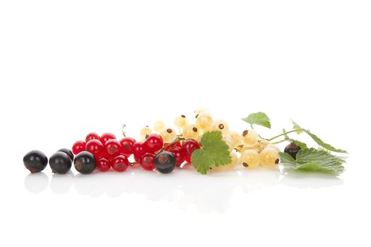 Red, white and black currant isolated on white background with reflection. Healthy summer fruit eating. 