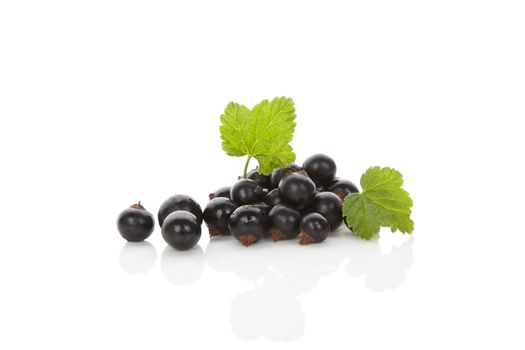 Ripe black currant isolated on white background. Healthy summer fruit eating. 
