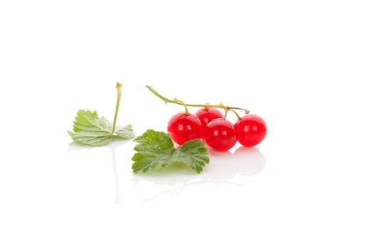 Ripe red currant isolated on white background. Healthy summer fruit eating. 