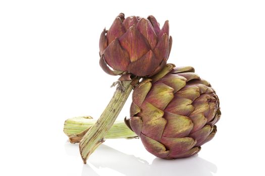 Fresh artichoke isolated on white background. Healthy vegetable eating. 