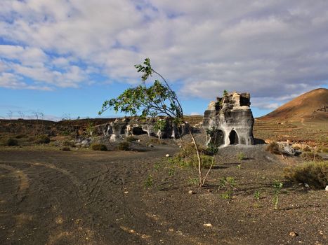 Guatiza teguis volcanic stones at Lanzarote Canary Islands, Spain