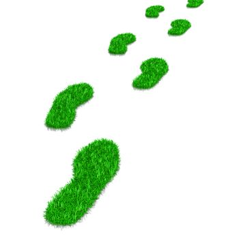 Green Grass Footsteps Path 3D Illustration on White Background