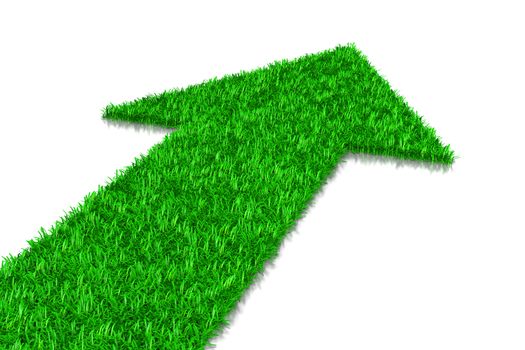 Green Grass Arrow, Direction Concept 3D Illustration on White Background