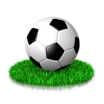 Soccer Ball on Grass 3D Illustration on White Background