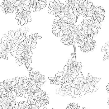Seamless retro pattern with daisies sketch drawing over white