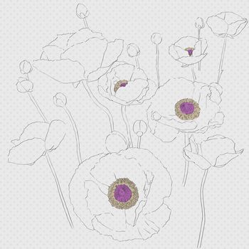 Hand drawn floral decorative sketch composition with poppies over a grey Pop Art background with dots