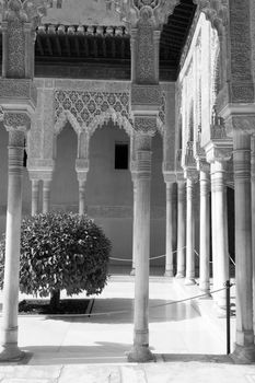 Alhambra palace located in Granada (Spain) is a master pice of the Islamic/Muslim Architecture in Europe