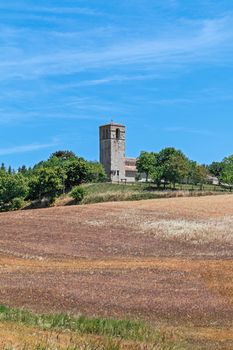 landscape of field with bell tower
