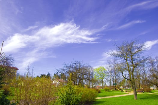 Spring conceptual image. Spring in the park.