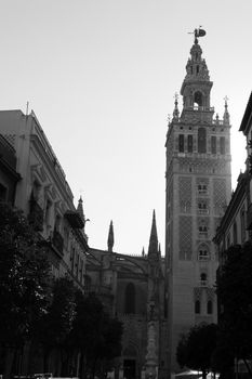 The Giralda was first built as a minaret in the 12 century now is the bell tower of the cathedral of Seville