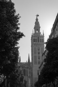 The Giralda was first built as a minaret in the 12 century now is the bell tower of the cathedral of Seville