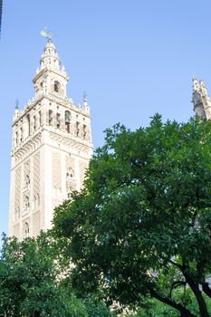 The Giralda was first built as a minaret in the 12 century now is the bell tower of the cathedral of Seville