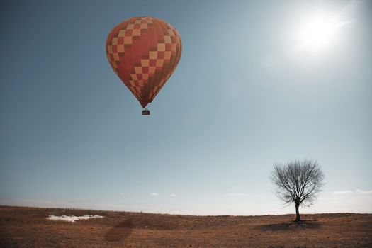 Air balloon flying over the steppe with single tree
