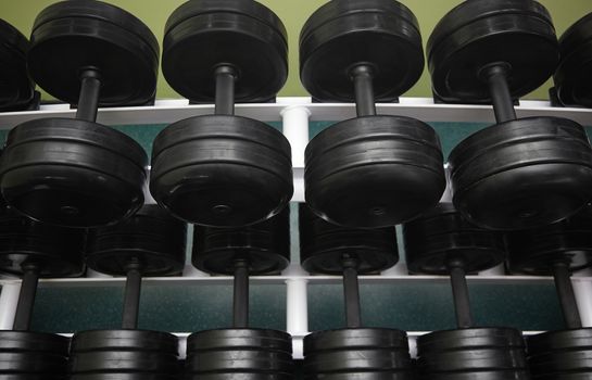 Group of black barbells arranged in row at the gym. Horizontal photo