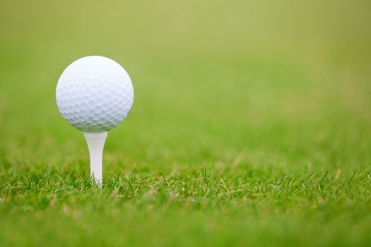 Golf ball on a green lawn. Close-up photo