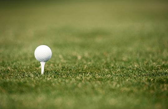 Golf ball on a green lawn. Close-up photo