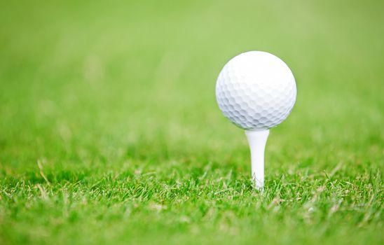 Golf ball on a green lawn. Close-up photo