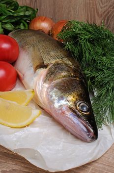 Raw fish pike perch on a paper   near vegetables