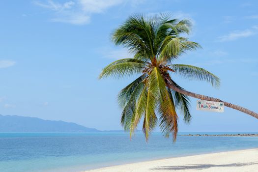 Landmark of Baan Tai beach Koh Samui island,Thailand